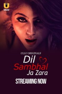 Dil Sambhal Ja Zara (2024) Season 1 Part 1